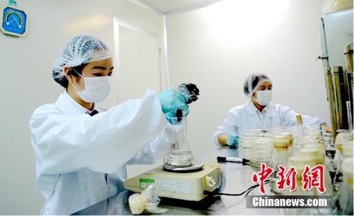 科技重塑槟榔盛宴，开启智能嚼食新纪元